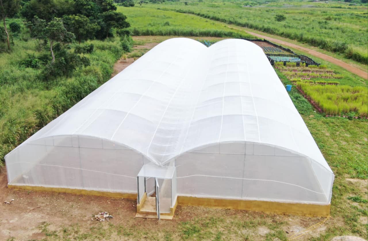 Serre double chapelle — vue 2
