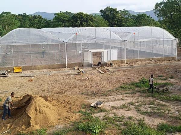 Deux serres multichapelle de 1250 m² installées en Guinée par Serre Ivoire
