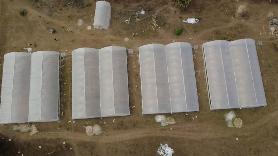 Quatre serres de 500 m² et une serre de 50 m² installées à Ayérémou par Serre Ivoire