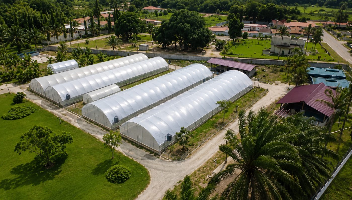 Aboisso — Serre + pépinière, 2 000 m²